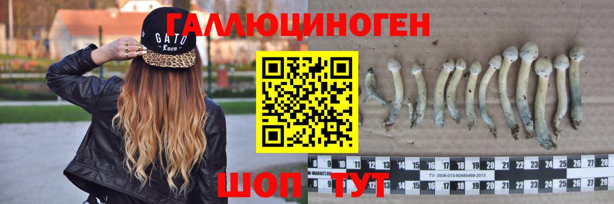 Галлюциногенные грибы Psilocybe  Вход с VPN  Псилоцибиновые грибы MAGIC MUSHROOMS  хочу   Ирбит 